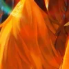 🖼 Эмодзи «🖼 Набор эмоджи по игре «Dota 2 Дота 2»» для Telegram