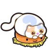 😀 Эмодзи «Douhua Cat» для Telegram