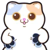 🐾 Эмодзи «Douhua Cat» для Telegram