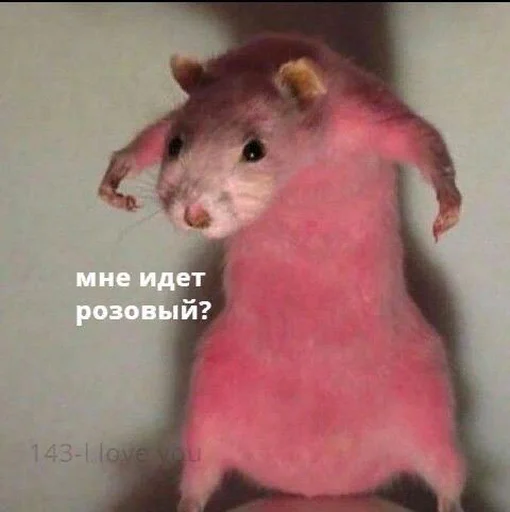 ❔ Стикер «drakonovva» для Telegram