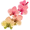 🌺 Эмодзи «dreamy heaven» для Telegram