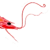 🦐 Эмодзи «dreamy heaven» для Telegram