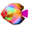 🐠 Эмодзи «dreamy heaven» для Telegram