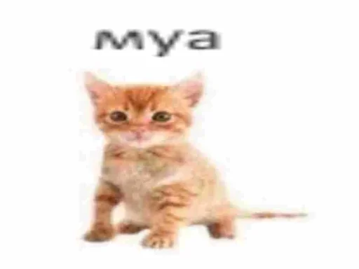 💋 Стикер «Милые рандом» для Telegram