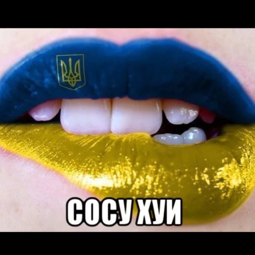 🇺🇦 Стикер «НУ Я?» для Telegram