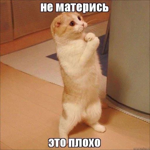 😓 Стикер «НУ Я?» для Telegram