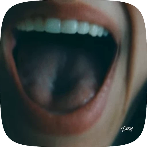 🙀 Стикер «Anora» для Telegram