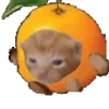 🍊 Эмодзи «Хомяк В Шляпе» для Telegram