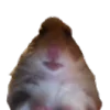 🐹 Эмодзи «Хомяк В Шляпе» для Telegram