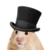 🎩 Эмодзи «Хомяк В Шляпе» для Telegram