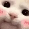 😊 Эмодзи «Хомяк В Шляпе» для Telegram