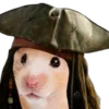 🏴‍☠ Эмодзи «Хомяк В Шляпе» для Telegram