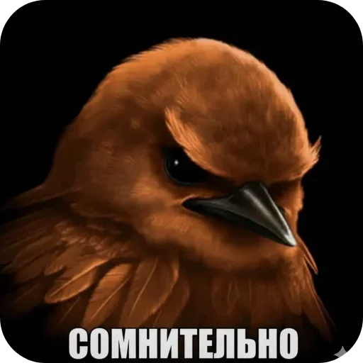 🐦 Стикер «Птицки» для Telegram