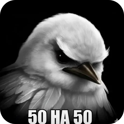 🐦 Стикер «Птицки» для Telegram