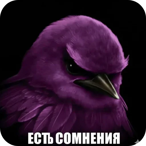 🌸 Стикер «Птицки» для Telegram