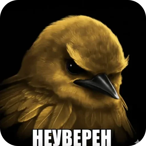 🐦 Стикер «Птицки» для Telegram