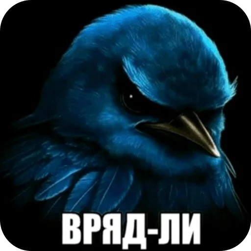 Стикерпак Птицки для Telegram — скачать