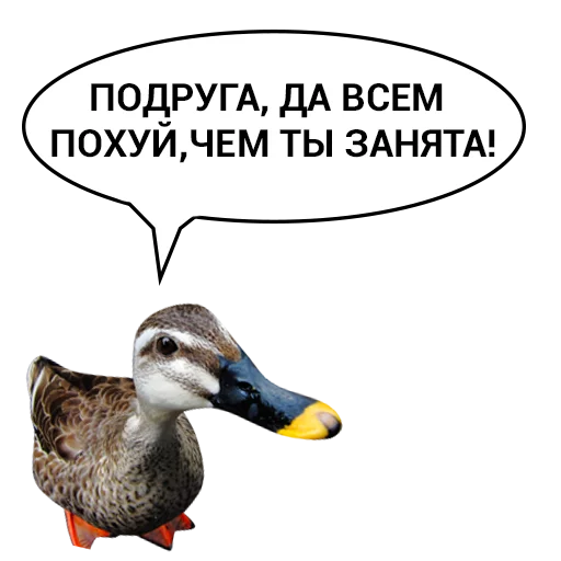 😏 Стикер «Злая утка» для Telegram
