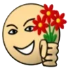 🌺 Эмодзи «Durak Online 👉» для Telegram