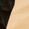 💅 Эмодзи «Найдено оригинальное фото Павла Дурова в пустыне» для Telegram