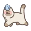🐱 Эмодзи «200 Cats - котики» для Telegram