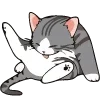 😽 Эмодзи «🍩 200 Cats - котики эмоджи» для Telegram