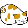 🐱 Эмодзи «🍩 200 Cats - котики эмоджи» для Telegram