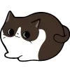 🐱 Эмодзи «🍩 200 Cats - котики эмоджи» для Telegram