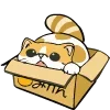📦 Эмодзи «🍩 200 Cats - котики эмоджи» для Telegram