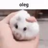 🤕 Эмодзи «Oleginside #random #other» для Telegram