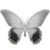 🦋 Эмодзи «Black #color #black #style #cute» для Telegram