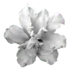 🌺 Эмодзи «Black #color #black #style #cute» для Telegram