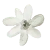 🌼 Эмодзи «Black #color #black #style #cute» для Telegram
