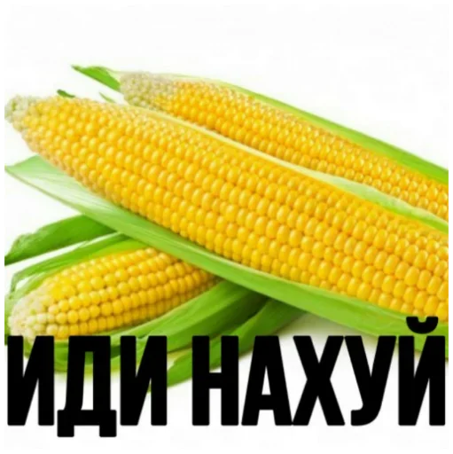 🤯 Стикер «Хз» для Telegram
