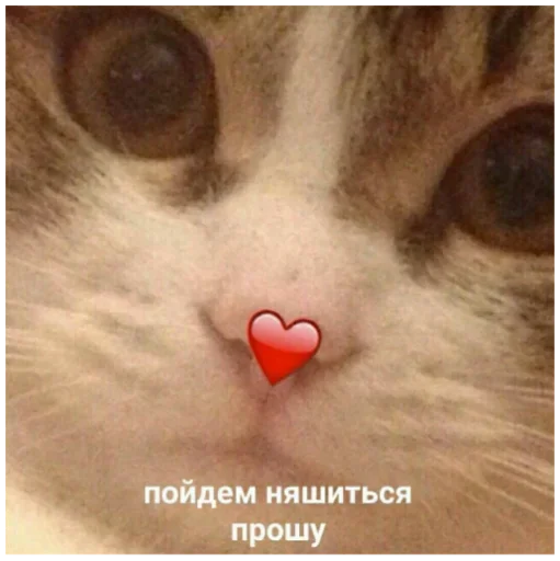 🤯 Стикер «Хз» для Telegram