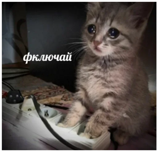 🤯 Стикер «Хз» для Telegram