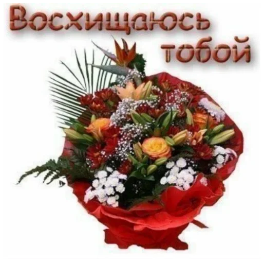 🤯 Стикер «Хз» для Telegram