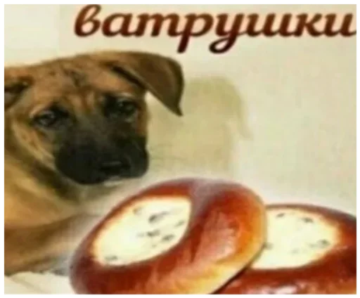 🤯 Стикер «Хз» для Telegram