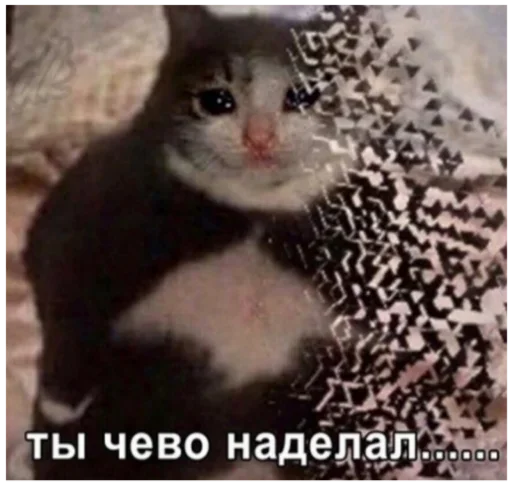 🤯 Стикер «Хз» для Telegram