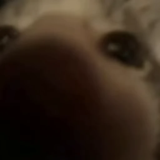 😽 Стикер «eblankstickeri» для Telegram