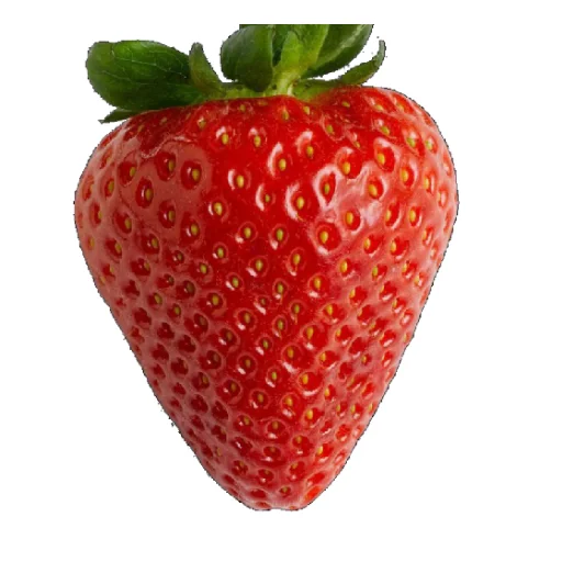 🍓 Стикер «Еда» для Telegram