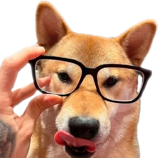 🐕 Стикер «EdPTS» для Telegram