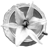 🪦 Эмодзи «Eglath Aew» для Telegram