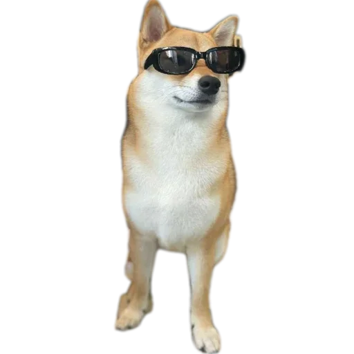 🐶 Стикер «Эдисон» для Telegram