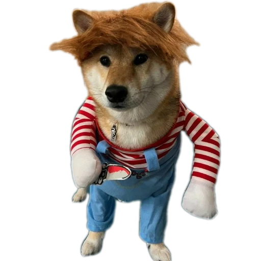 🐶 Стикер «Эдисон» для Telegram