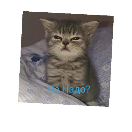 😄 Стикер «ЭЛПЭ» для Telegram