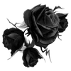 🌟 Эмодзи «𝐬𝐚𝐧𝐠𝐮𝐢𝐧𝐞 Fr» для Telegram