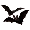 🦇 Эмодзи «𝐬𝐚𝐧𝐠𝐮𝐢𝐧𝐞 Fr» для Telegram
