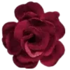 🥀 Эмодзи «𝐬𝐚𝐧𝐠𝐮𝐢𝐧𝐞 Fr» для Telegram