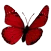🦋 Эмодзи «𝐬𝐚𝐧𝐠𝐮𝐢𝐧𝐞 Fr» для Telegram